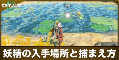 ティアキンようせい|【ティアキン】妖精の入手場所と捕まえ方